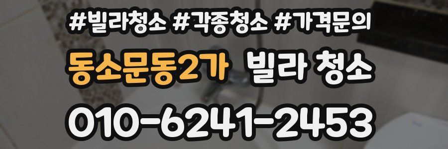 동소문동2가 빌라 청소