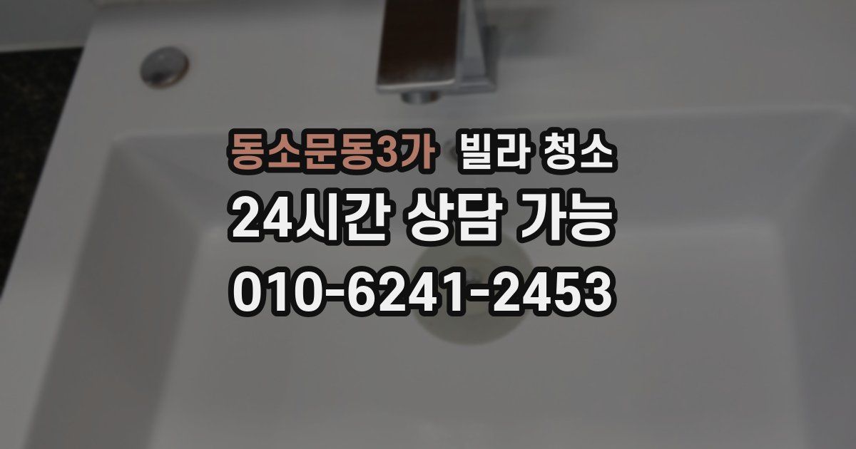 동소문동3가 빌라 청소