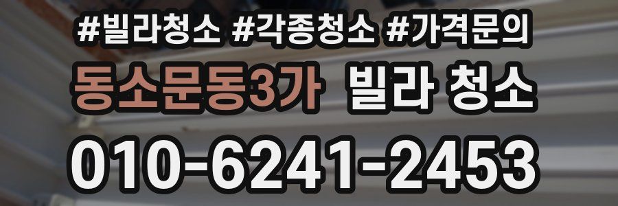 동소문동3가 빌라 청소