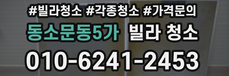 동소문동5가 빌라 청소
