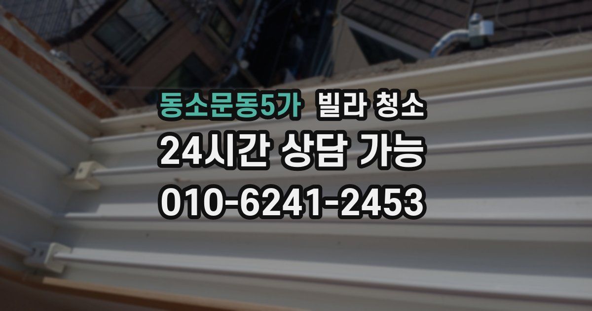 동소문동5가 빌라 청소