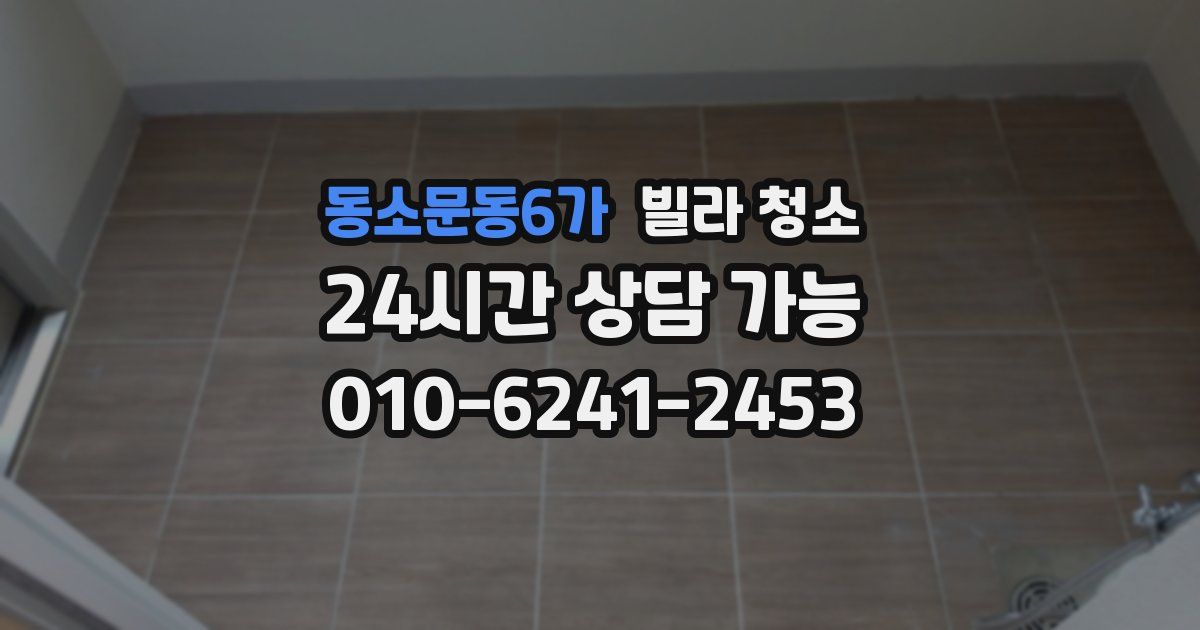동소문동6가 빌라 청소