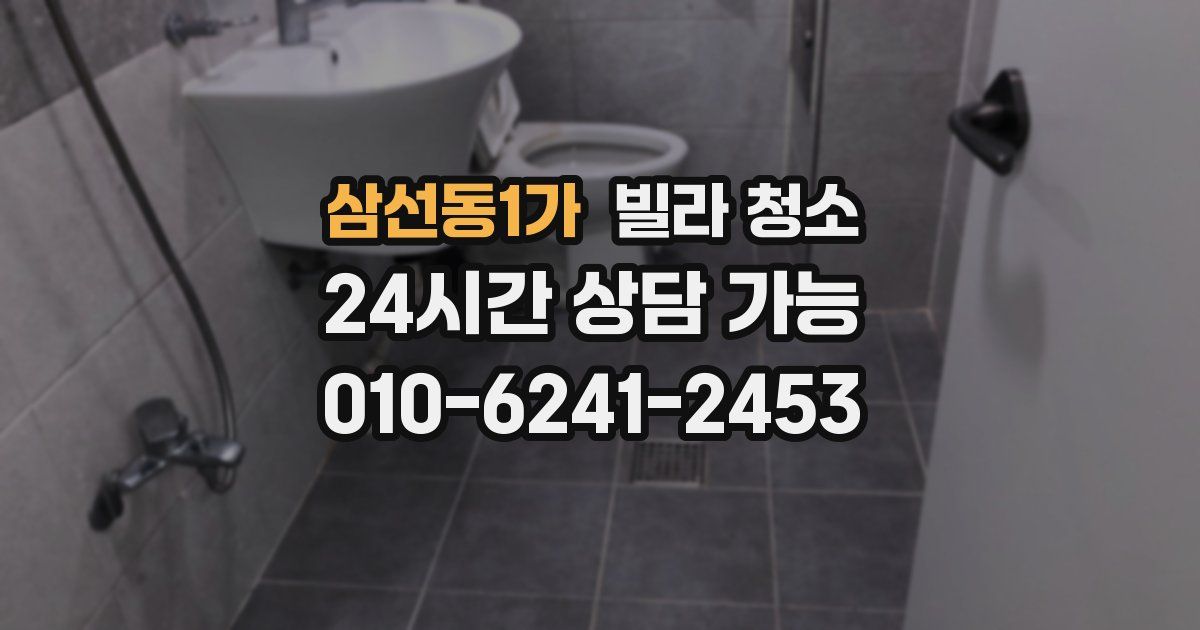 삼선동1가 빌라 청소