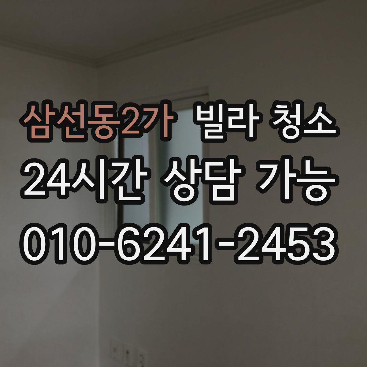 삼선동2가 빌라 청소