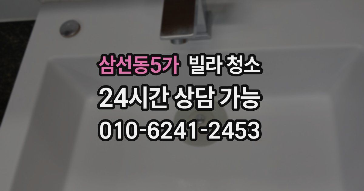 삼선동5가 빌라 청소