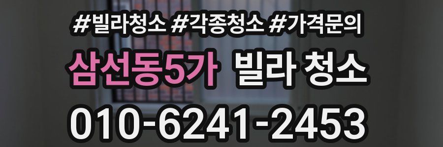 삼선동5가 빌라 청소