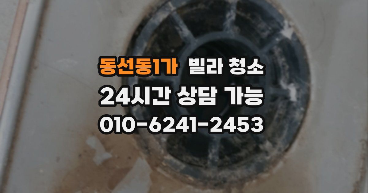 동선동1가 빌라 청소