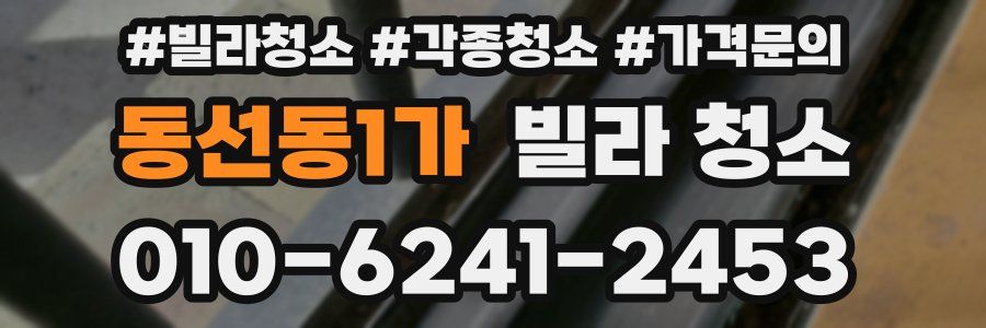 동선동1가 빌라 청소