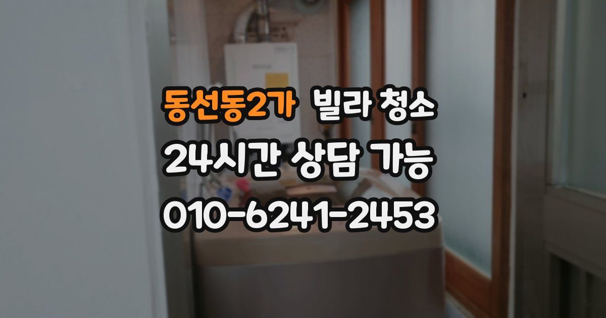 동선동2가 빌라 청소