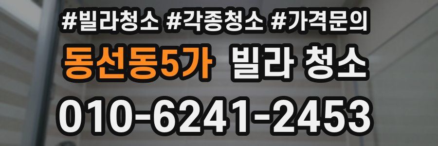 동선동5가 빌라 청소