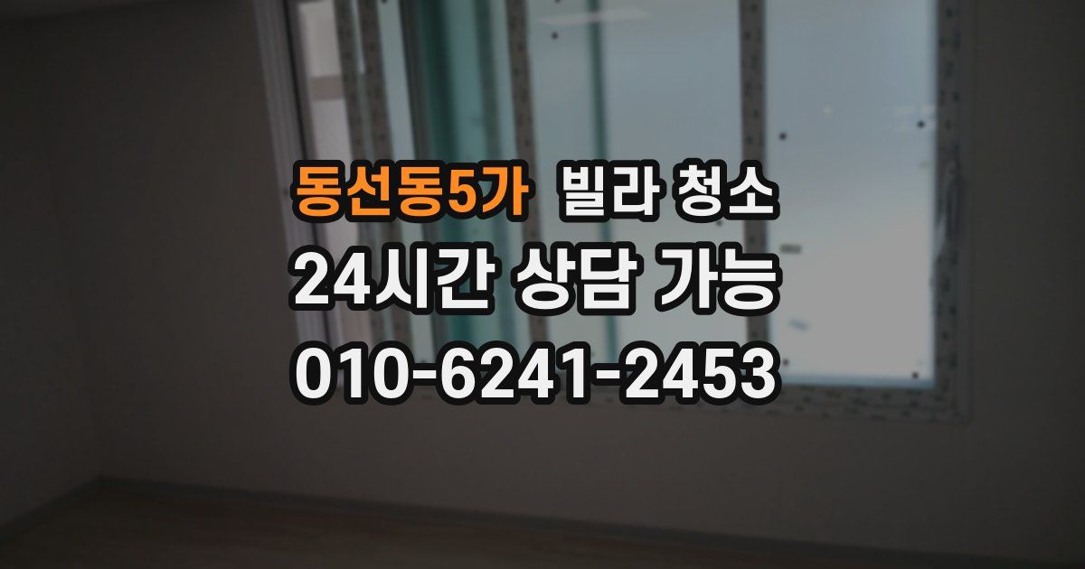 동선동5가 빌라 청소