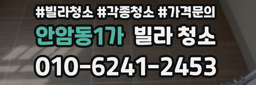 안암동1가 빌라 청소