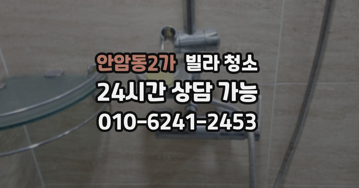 안암동2가 빌라 청소