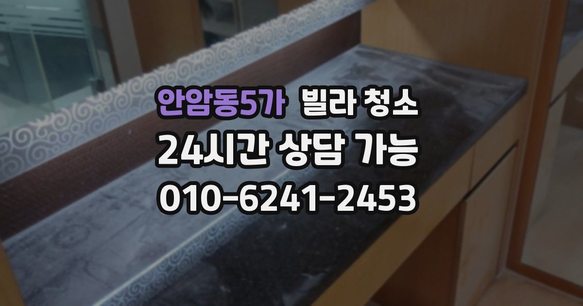 안암동5가 빌라 청소