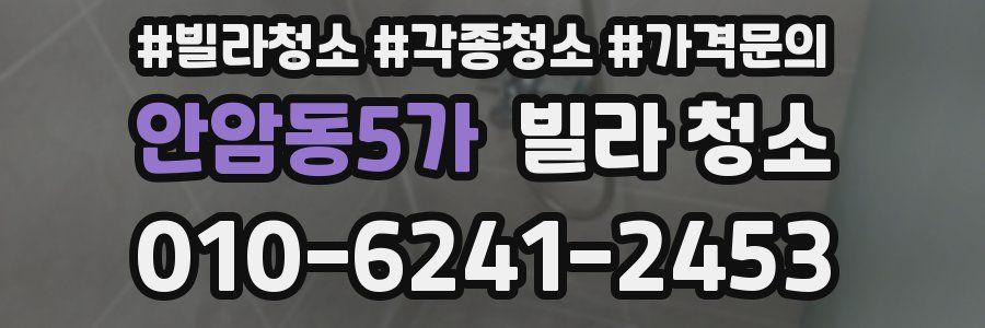 안암동5가 빌라 청소