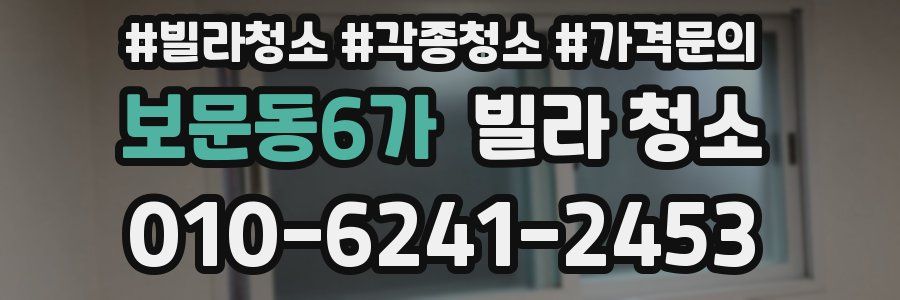 보문동6가 빌라 청소