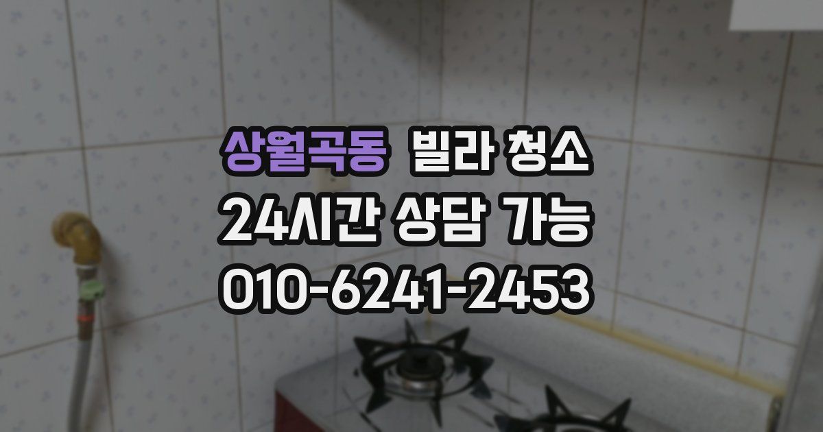 상월곡동 빌라 청소