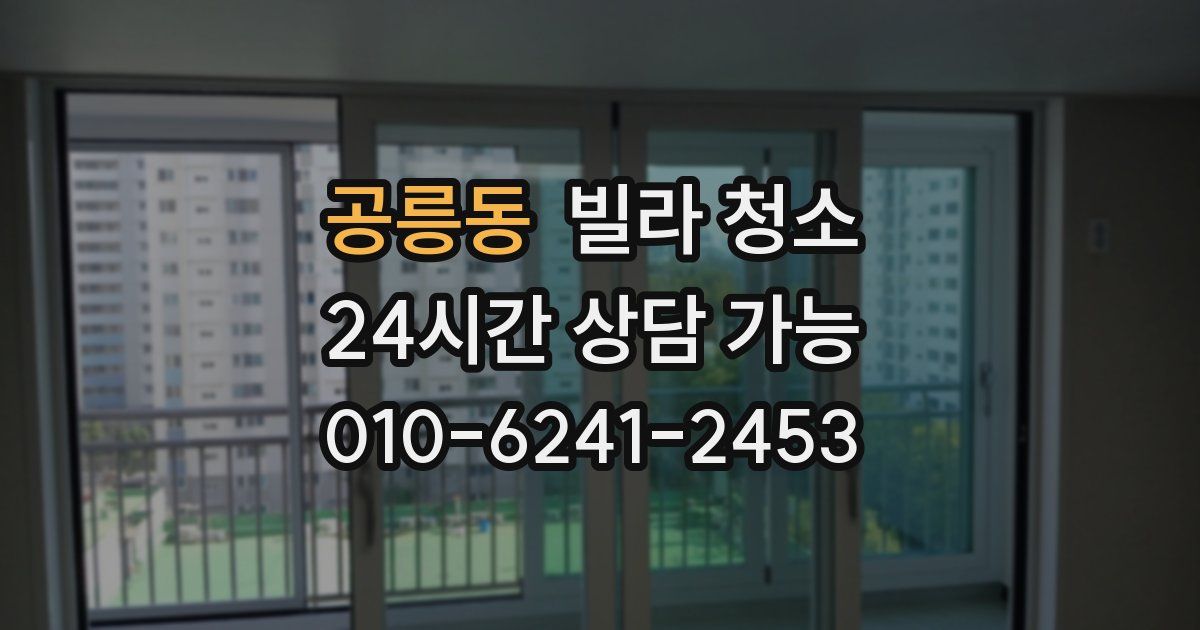 공릉동 빌라 청소