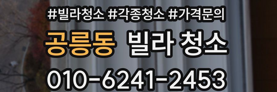 공릉동 빌라 청소