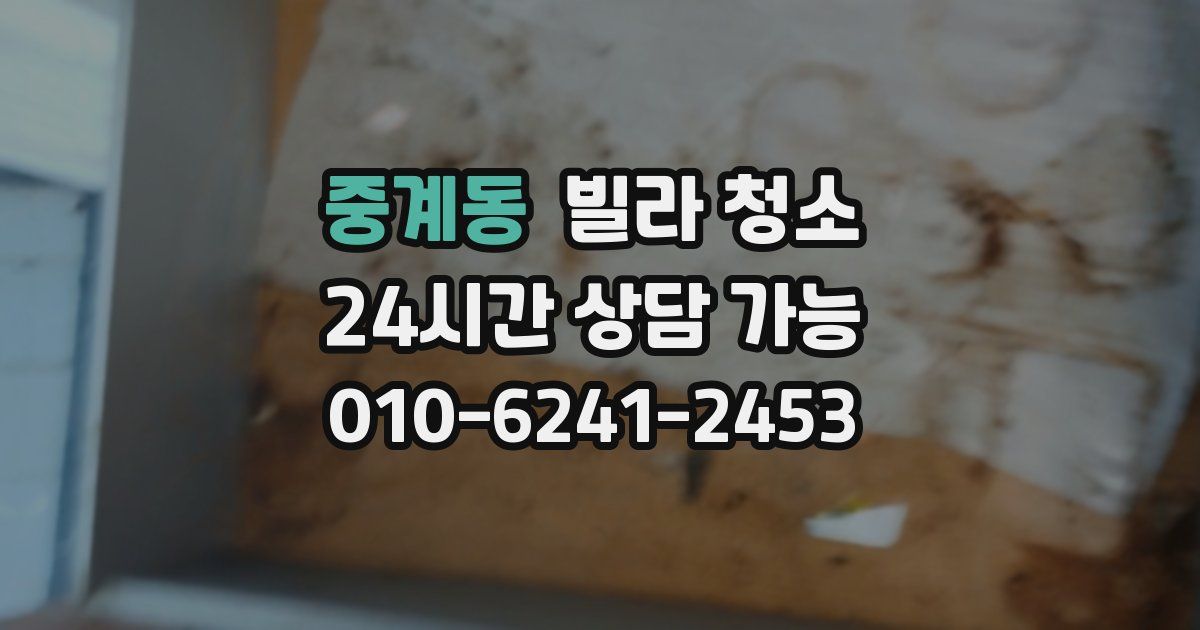 중계동 빌라 청소