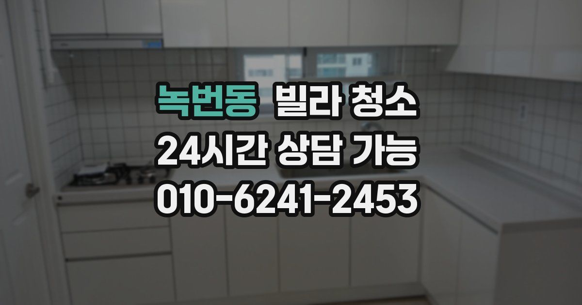 녹번동 빌라 청소