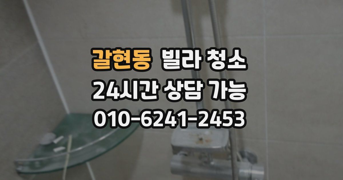 갈현동 빌라 청소