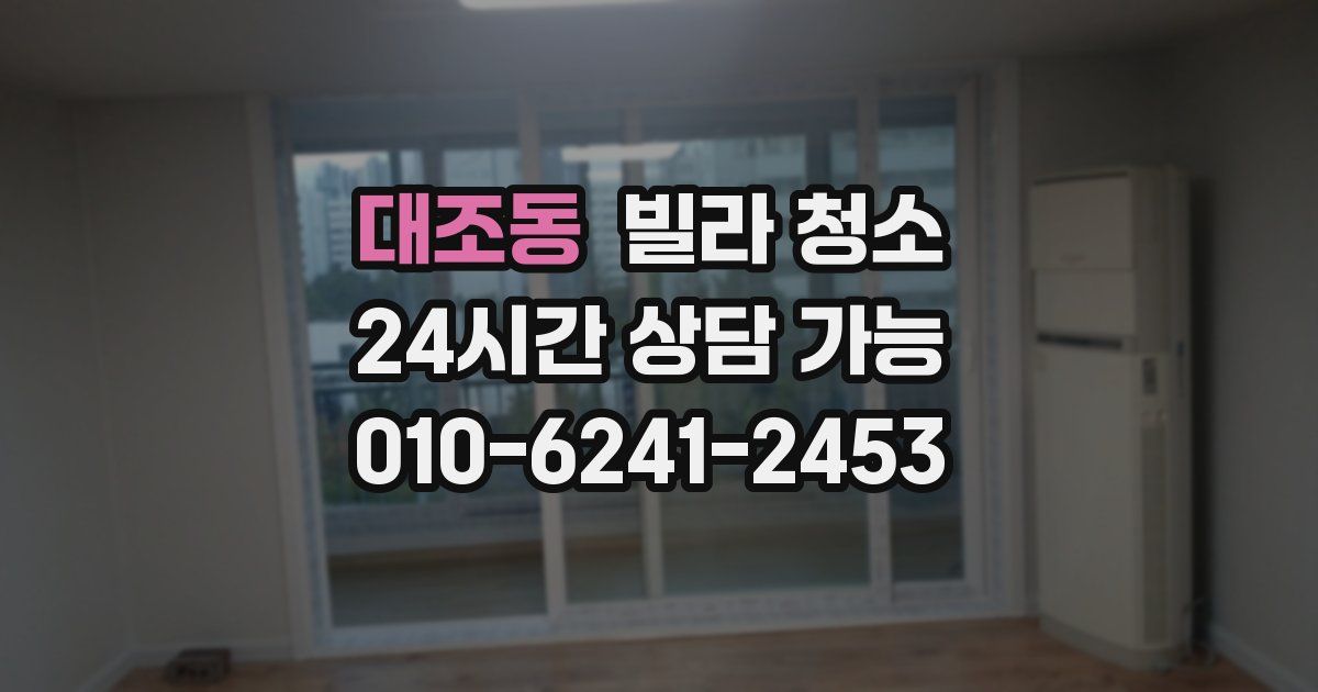 대조동 빌라 청소