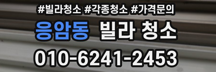 응암동 빌라 청소