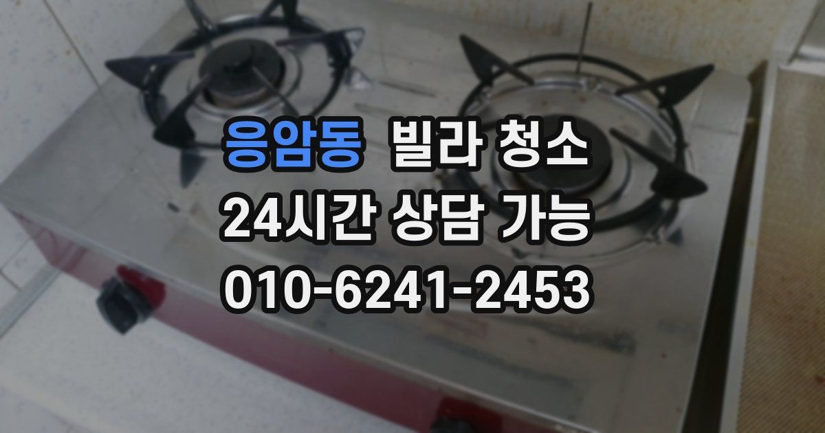 응암동 빌라 청소