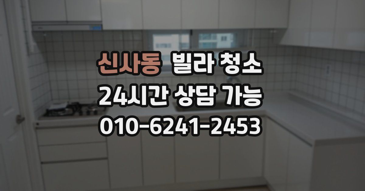 신사동 빌라 청소