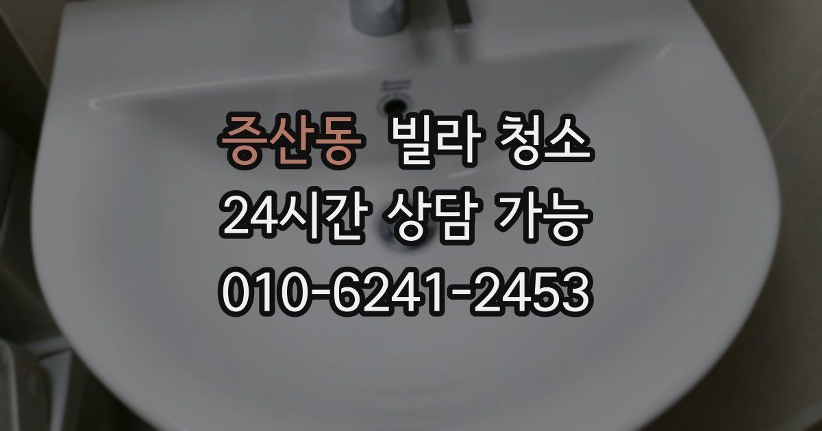 증산동 빌라 청소