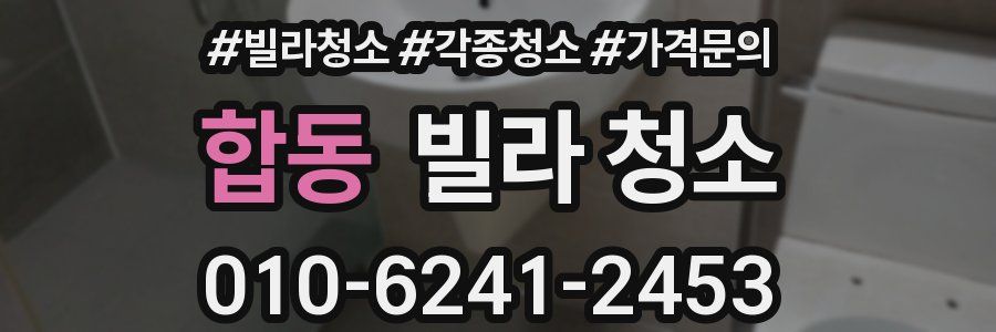 합동 빌라 청소