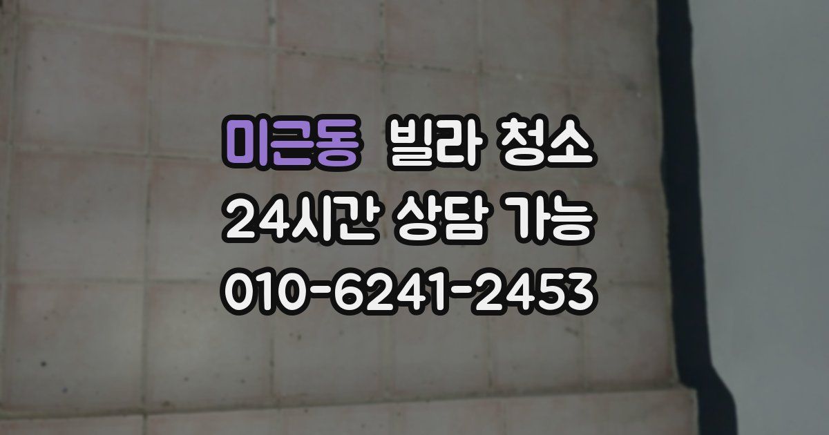 미근동 빌라 청소