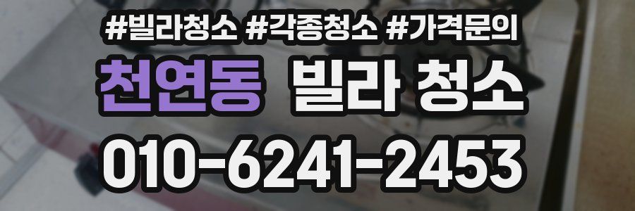 천연동 빌라 청소