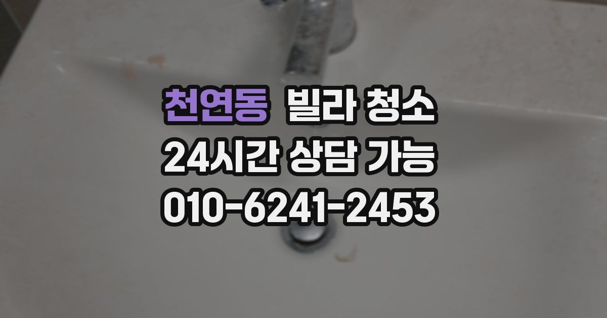 천연동 빌라 청소