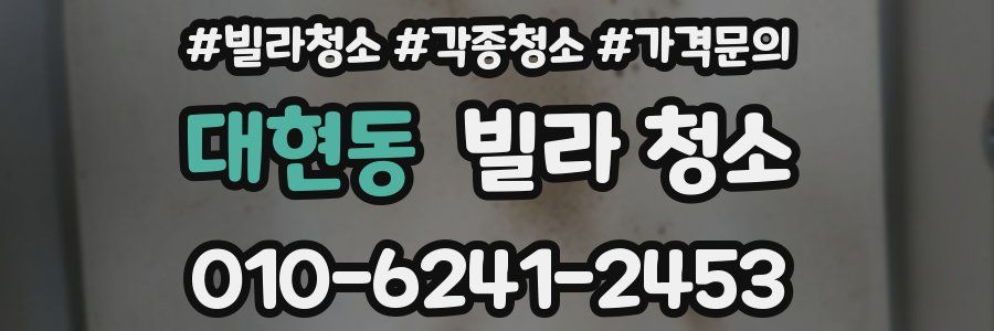 대현동 빌라 청소
