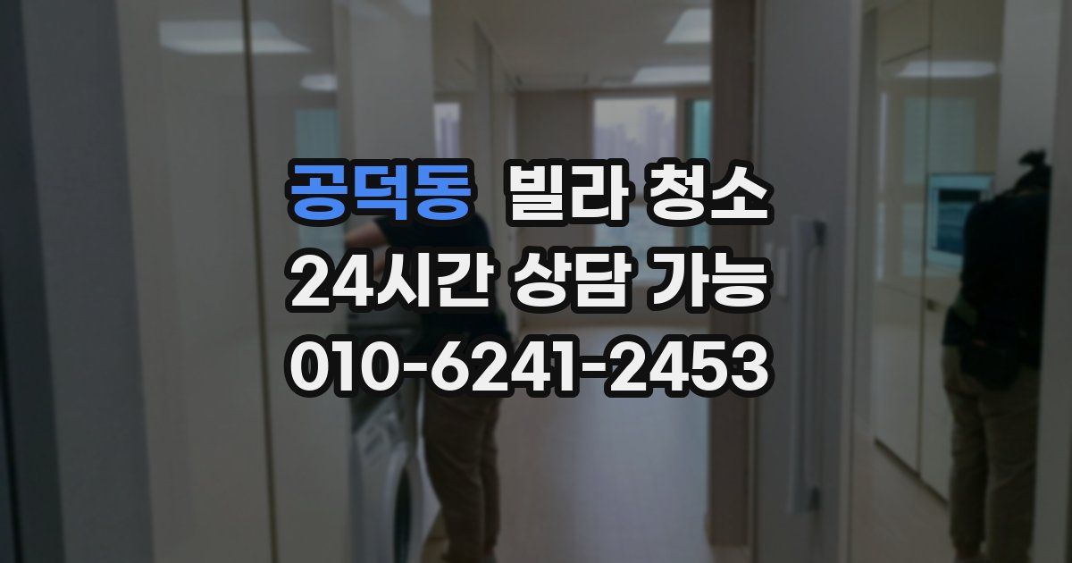 공덕동 빌라 청소