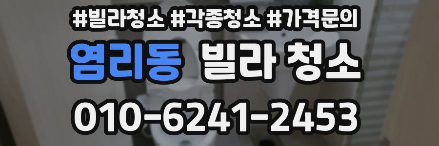 염리동 빌라 청소