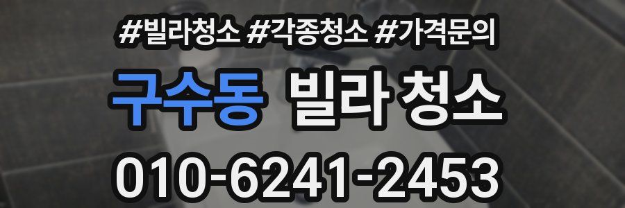 구수동 빌라 청소