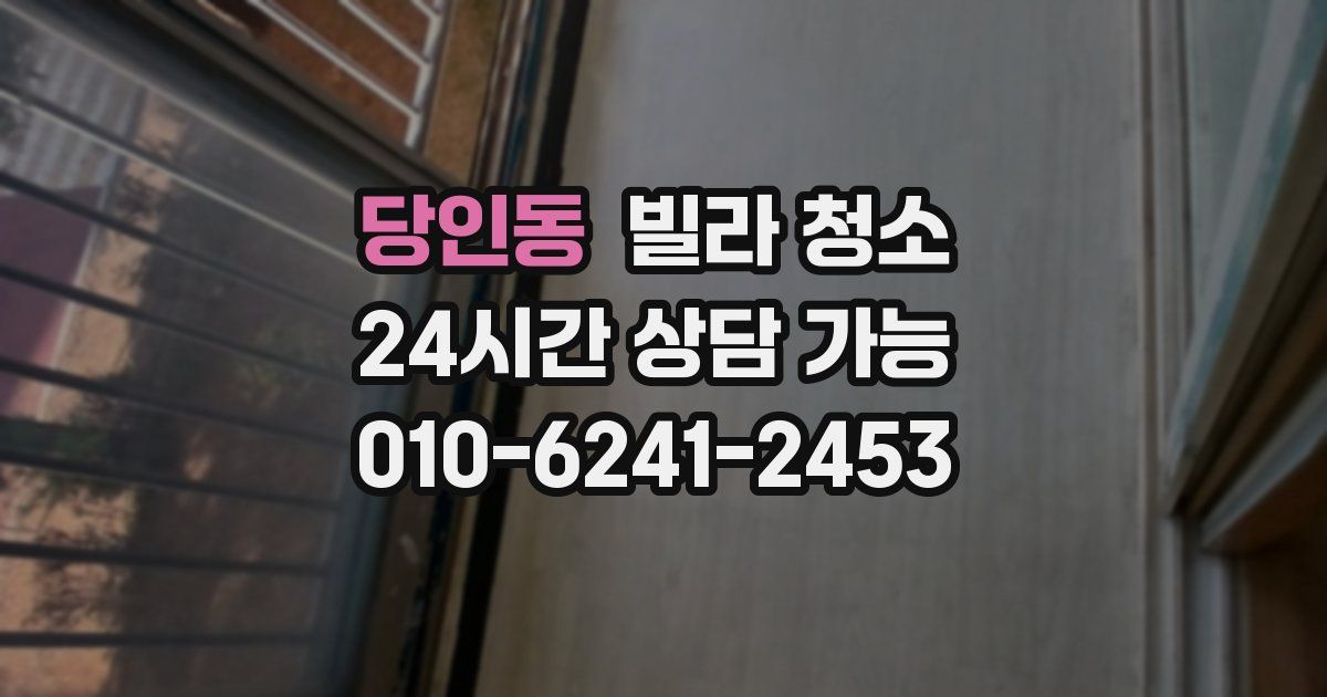 당인동 빌라 청소