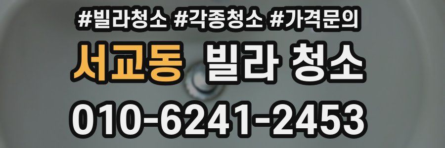 서교동 빌라 청소