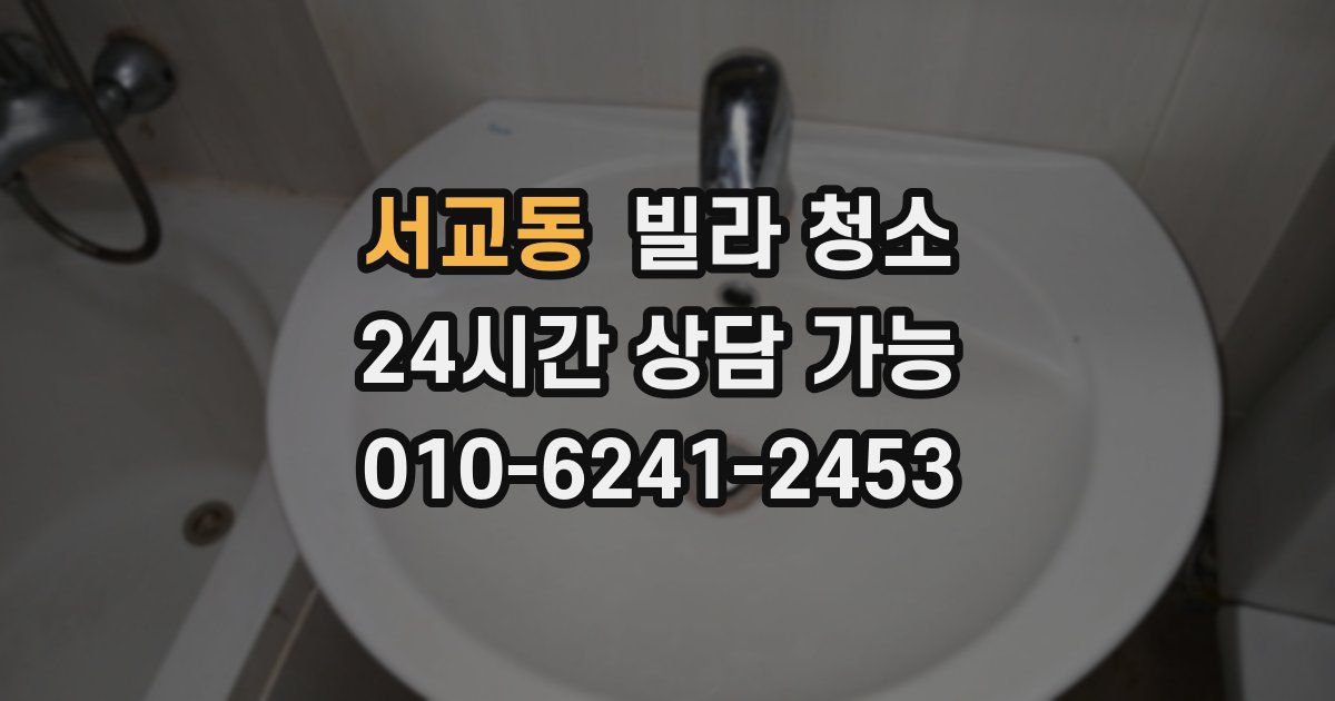 서교동 빌라 청소