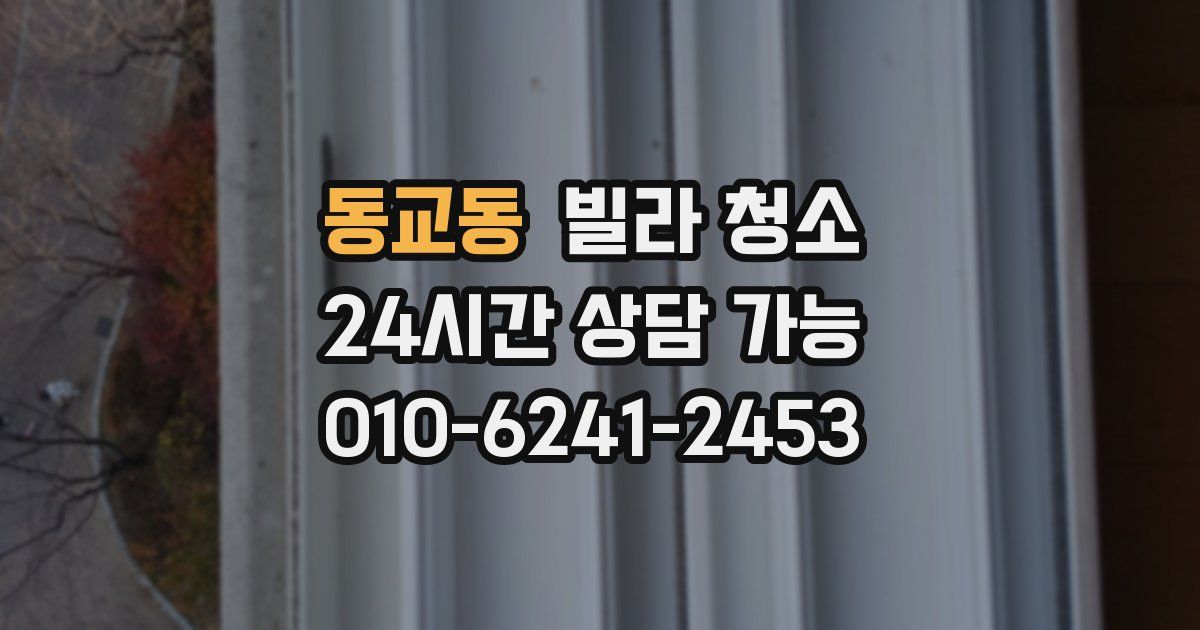 동교동 빌라 청소