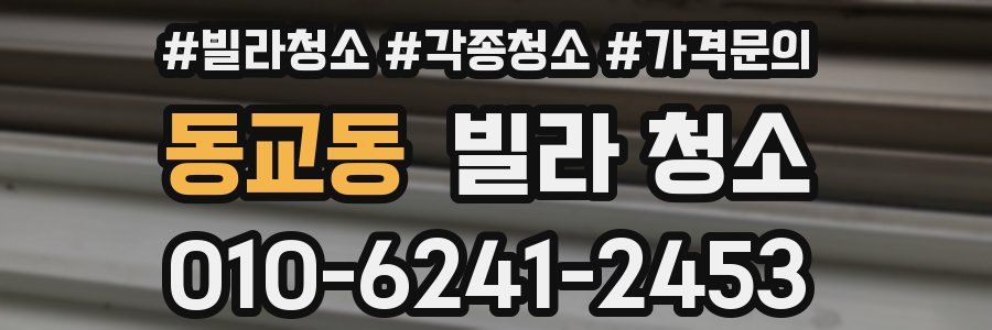 동교동 빌라 청소