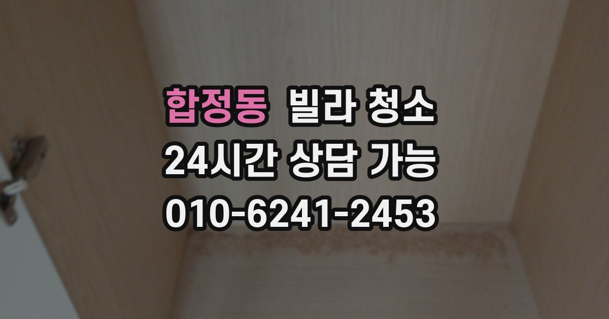 합정동 빌라 청소