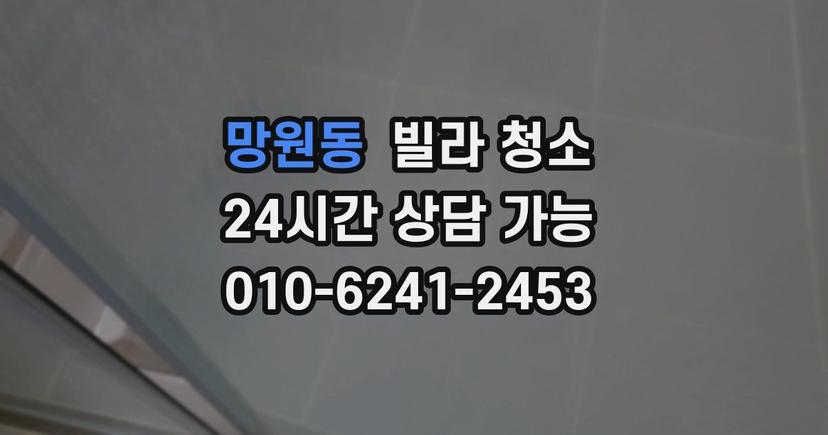 망원동 빌라 청소