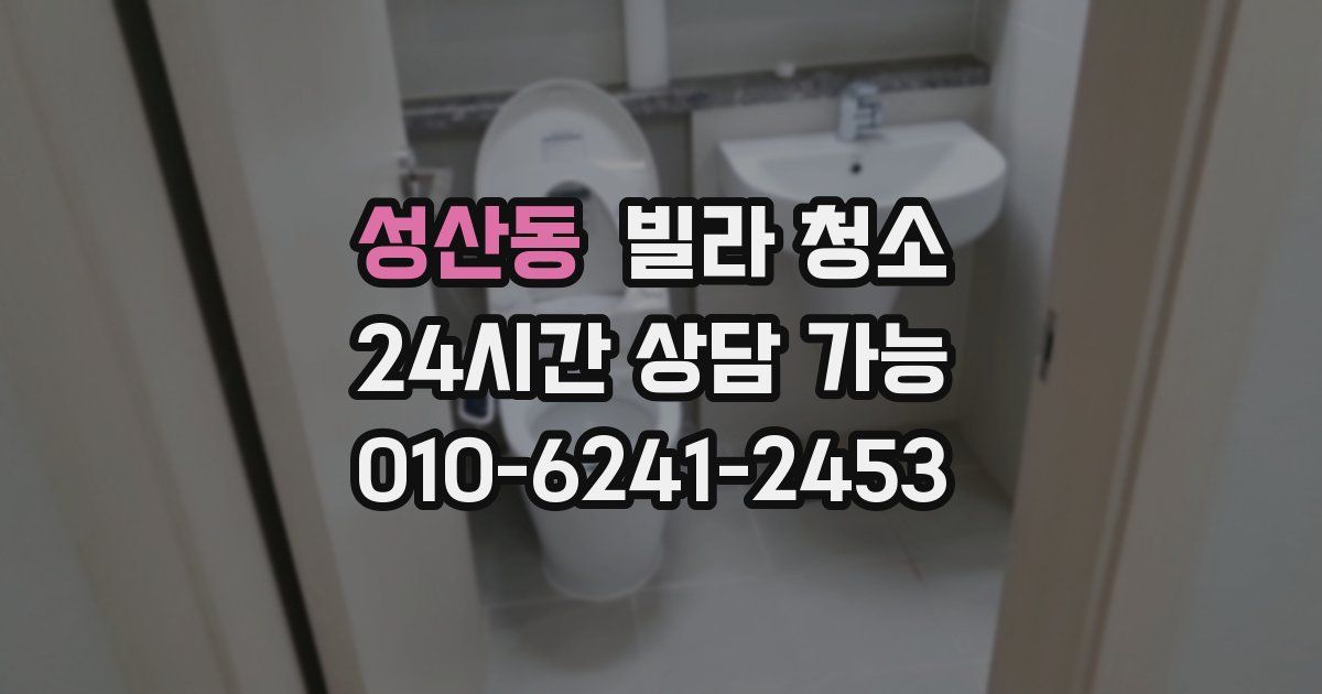 성산동 빌라 청소