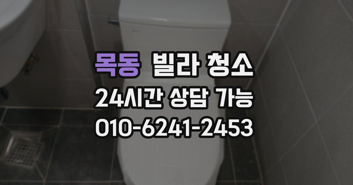 목동 빌라 청소