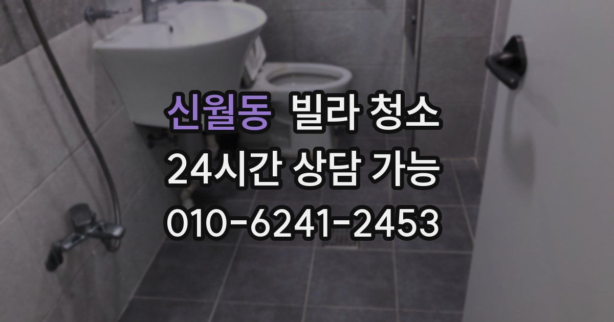 신월동 빌라 청소