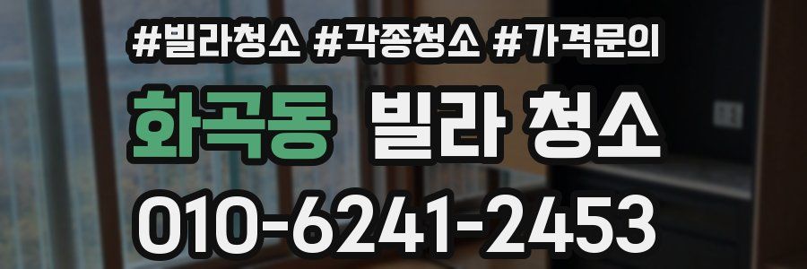 화곡동 빌라 청소